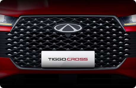 t5